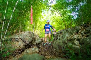 BIB: 
                            <button type="button" onclick="openModal(22087528)" class="btn btn-primary btn-sm float-right btn-popup" data-toggle="modal" data-target=".modal-high-quality">
                        <i class="fas fa-shopping-cart"></i> Add to Cart
                    </button>
                                            <button type="button" onclick="isThisMe(22087528, true)" class="btn btn-success btn-sm float-right btn-popup btn-isme hidden" data-toggle="tooltip" data-placement="bottom" title="นี่คือรูปของคุณใช่ไหม คลิกที่นี่เพื่อเอาเข้าอัลบั้ม">
                        <i class="fas fa-plus"></i> Add to album
                    </button>
                    <button type="button" onclick="isThisMe(22087528, false)" class="btn btn-warning btn-sm float-right btn-popup btn-isnotme hidden">
                        <i class="fas fa-ban"></i> Remove from album
                    </button>